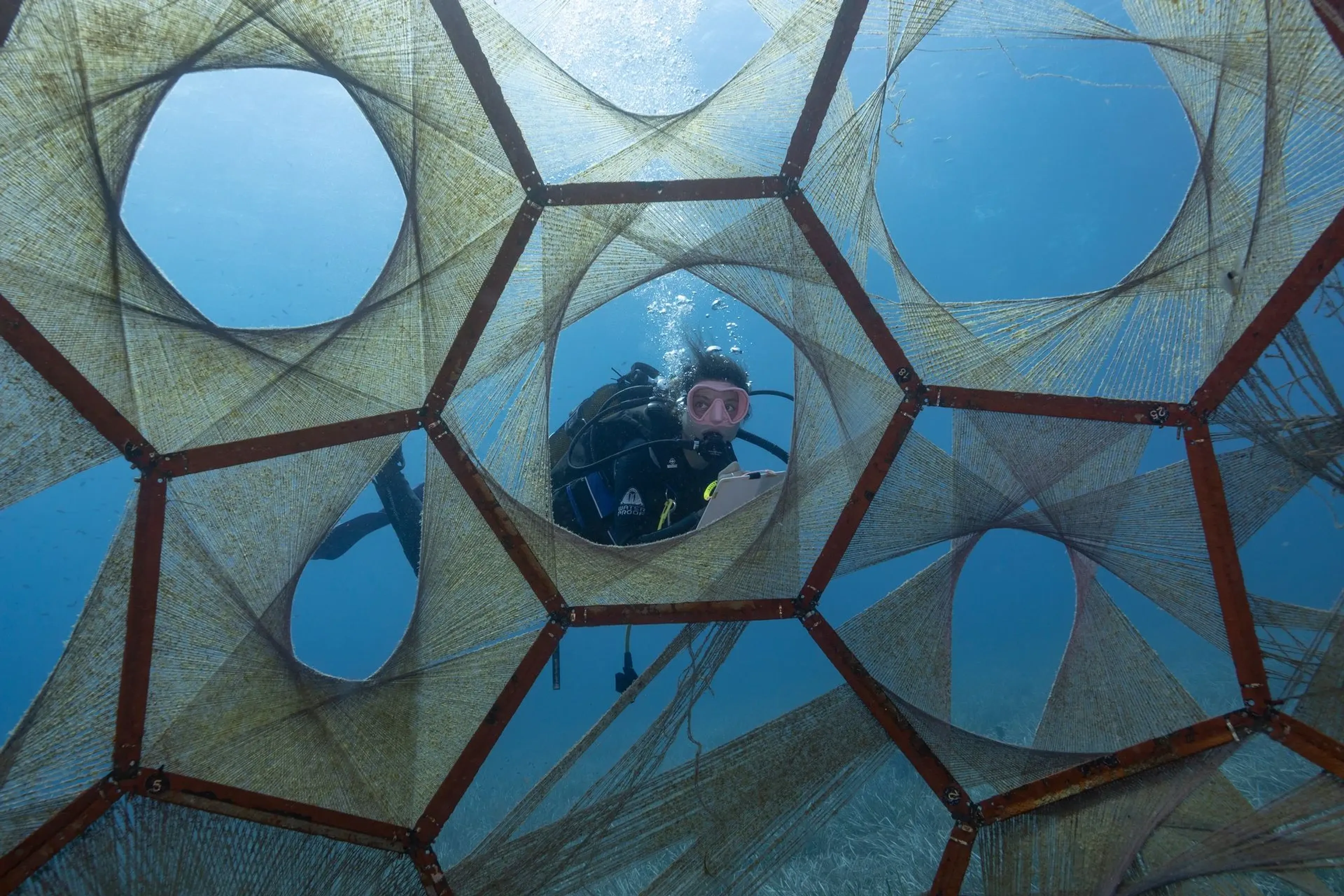 Diver: Noemie Chabrier.