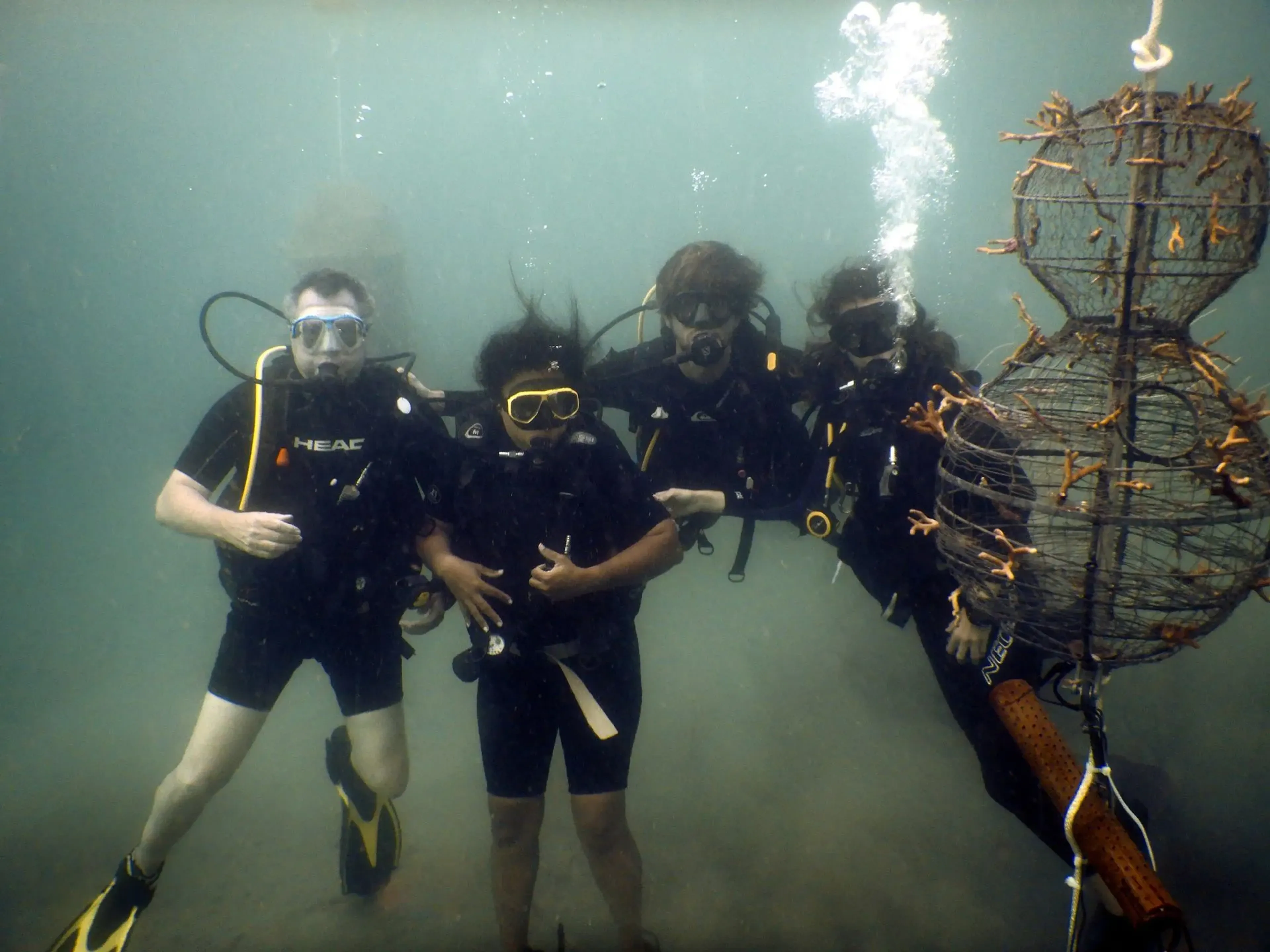 Team symbiotiic coral nurseries 