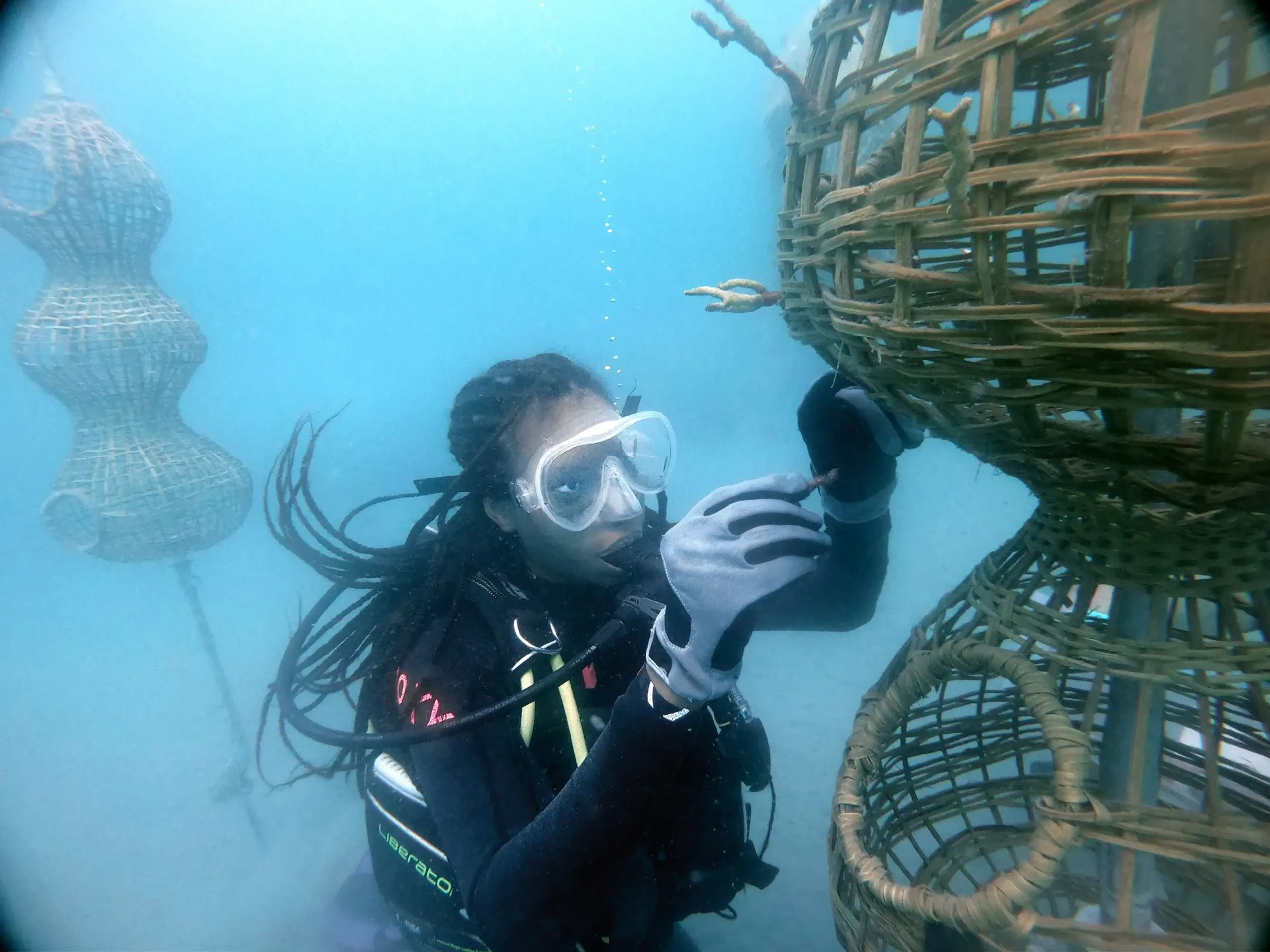 CREDITS: Diver laura Julio Racero during transplantation of Acropora cervicornis onto prototype of «Symbiotic Coral Nurseries» from Bejuco. Pilot projekt: Symbiotic Coral Nurseries. Photo: Rasa Weber. Diver: Laura Julio Racero. Location: Tierra Bomba (COL), 2023. Rasa Weber rasaweber.com & Polynesian Institute of Biomimicry biomimetisme-polynesie.org © 2024. All rights reserved.