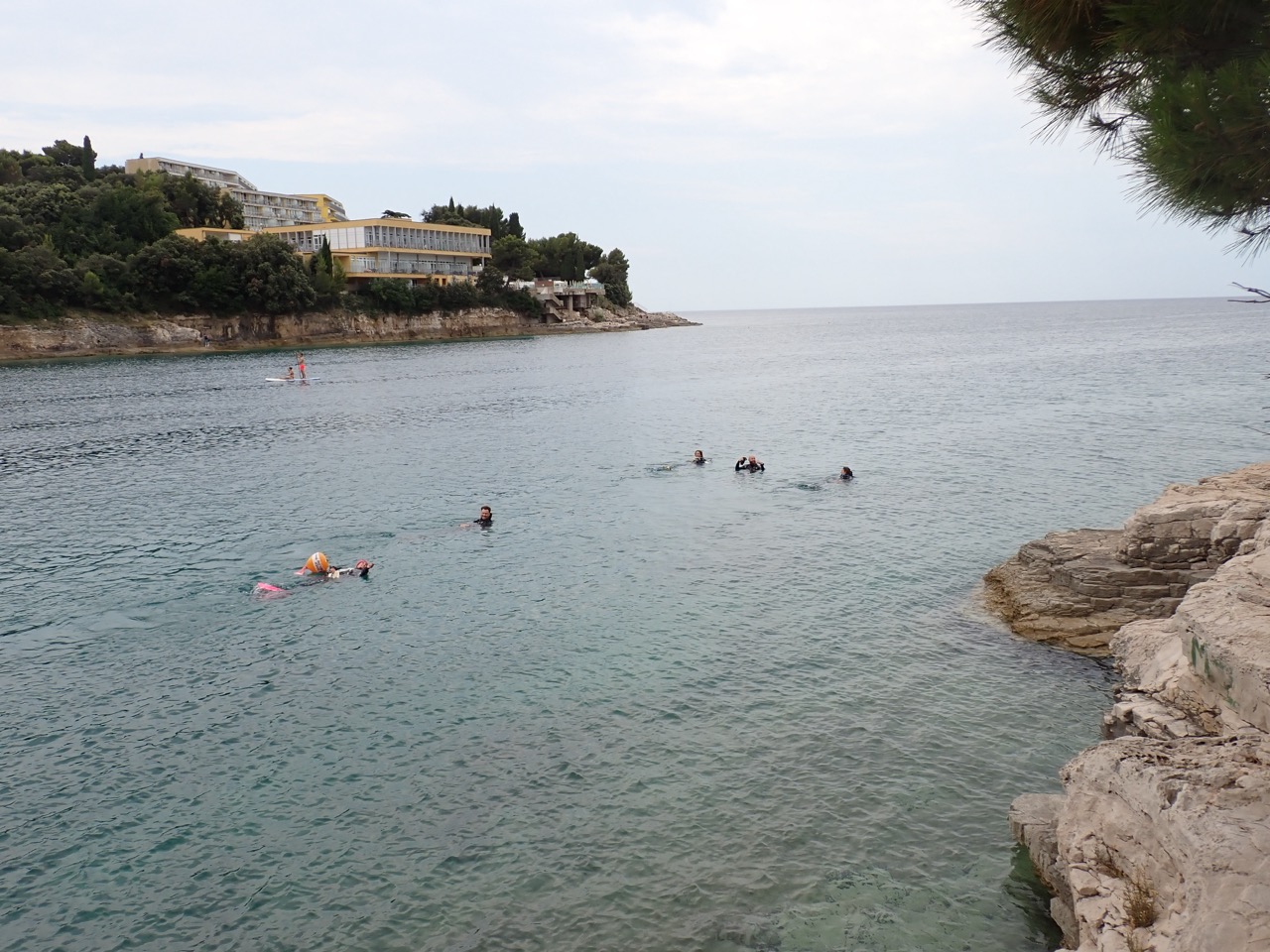Valsaline Dive Down