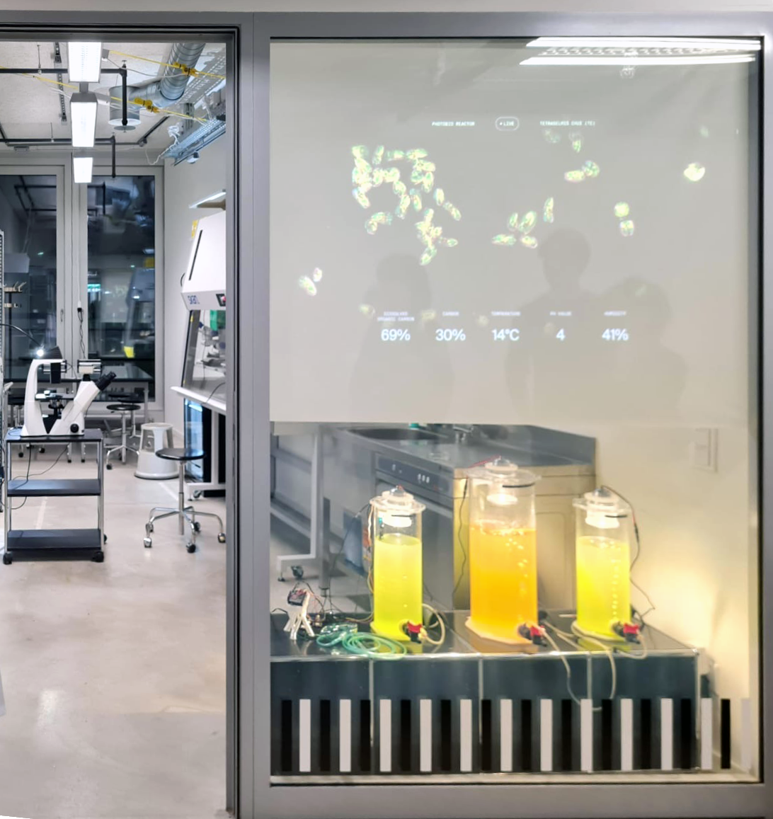 biolab surrounding 